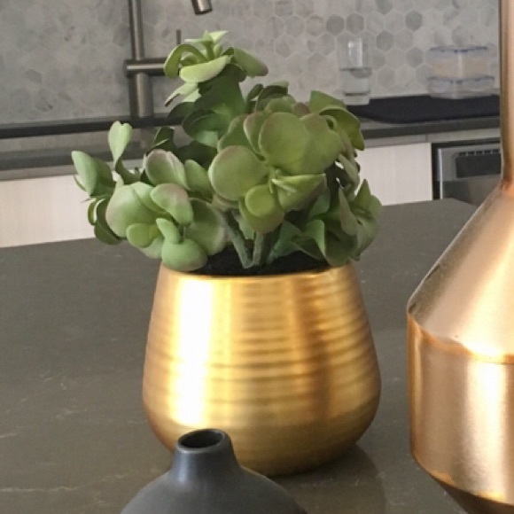 CB2 Faux Succulent in Gold Planter - Picture 2 of 2